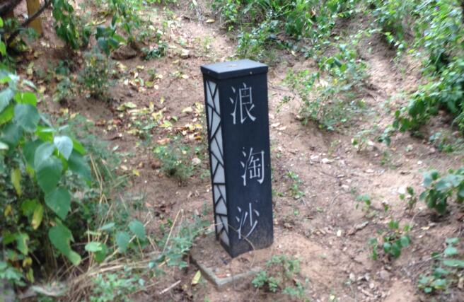 羊肚菌的功效